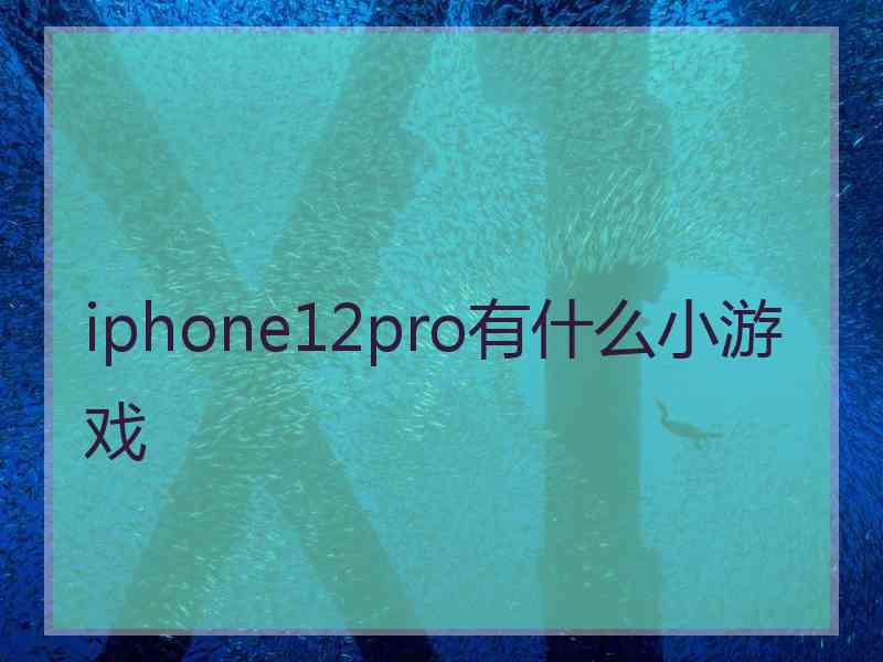 iphone12pro有什么小游戏