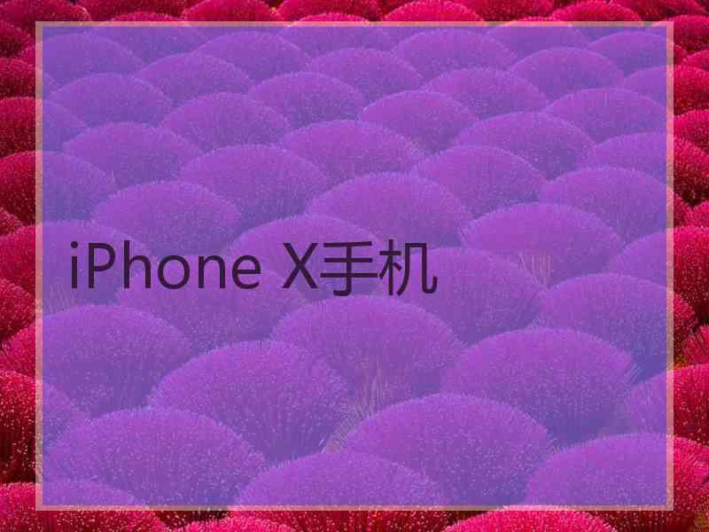 iPhone X手机