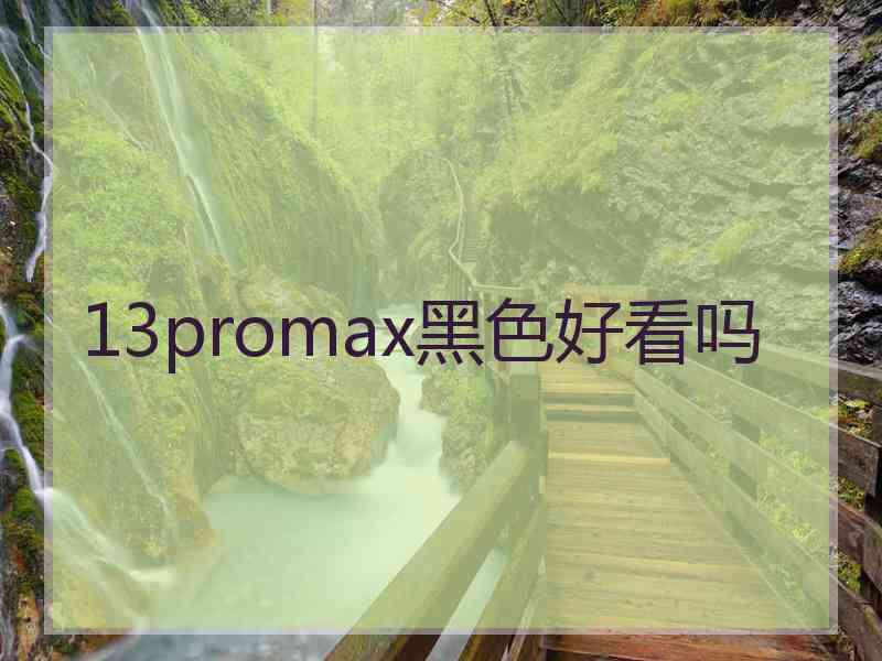 13promax黑色好看吗