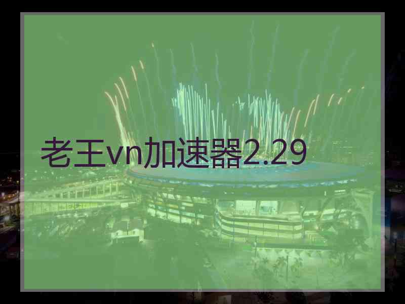 老王vn加速器2.29