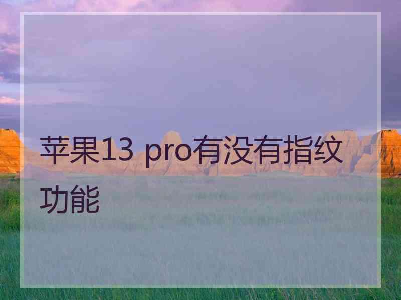 苹果13 pro有没有指纹功能