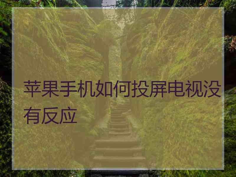 苹果手机如何投屏电视没有反应