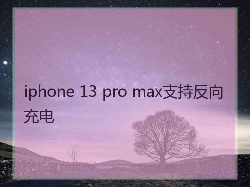 iphone 13 pro max支持反向充电