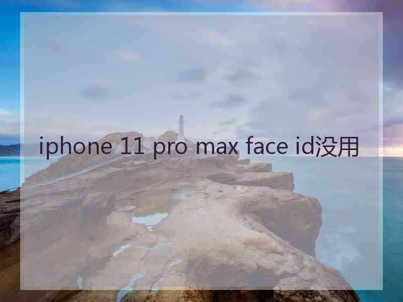 iphone 11 pro max face id没用