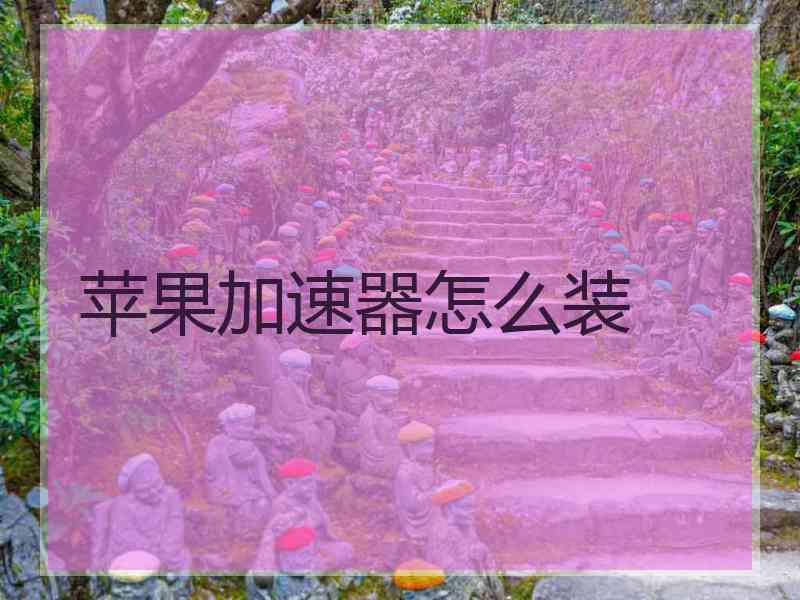 苹果加速器怎么装