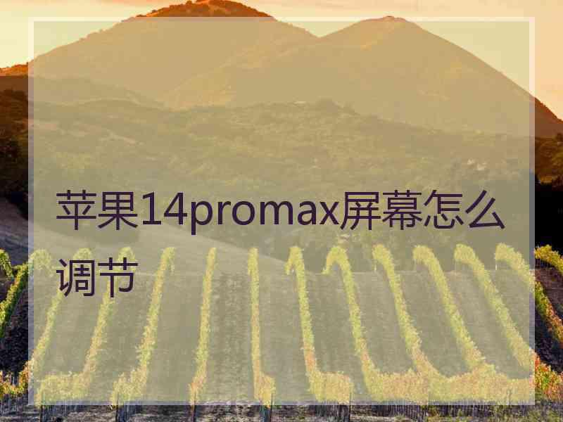 苹果14promax屏幕怎么调节