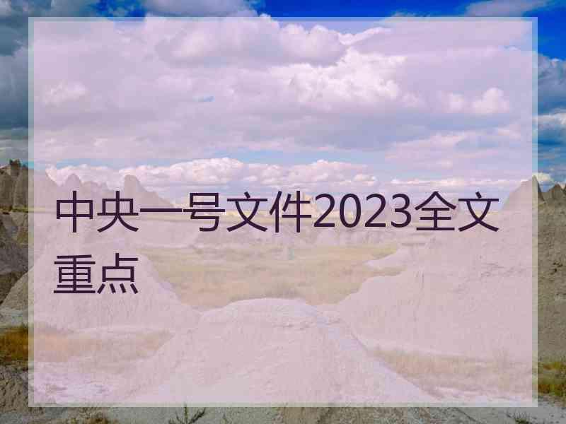 中央一号文件2023全文重点