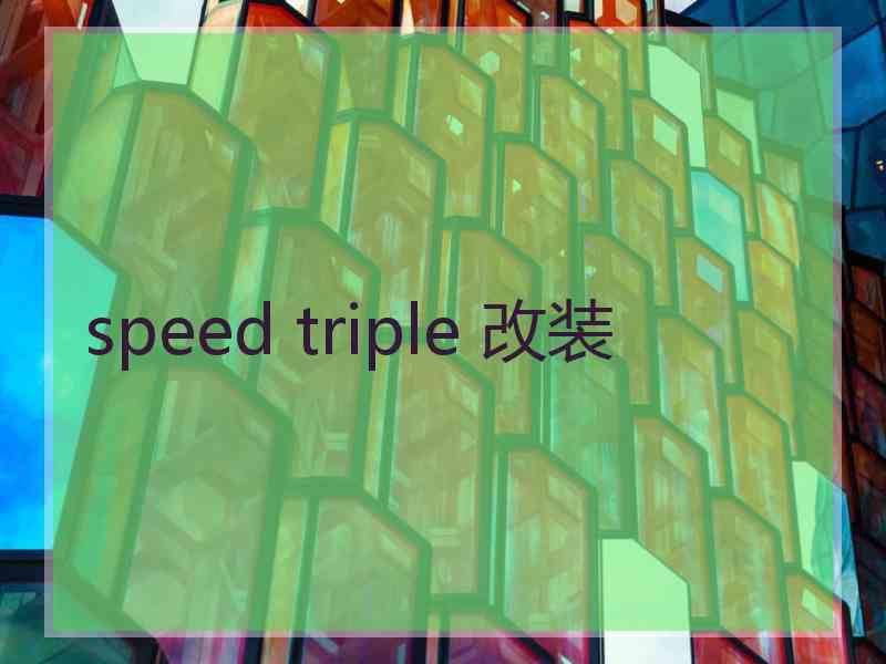 speed triple 改装