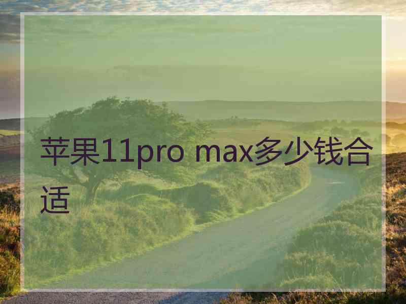 苹果11pro max多少钱合适