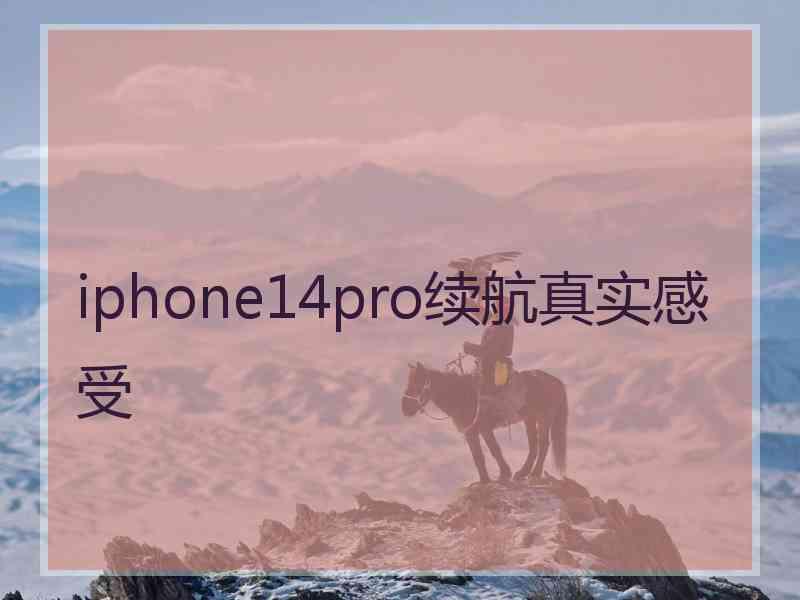 iphone14pro续航真实感受