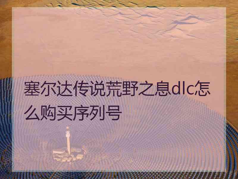 塞尔达传说荒野之息dlc怎么购买序列号