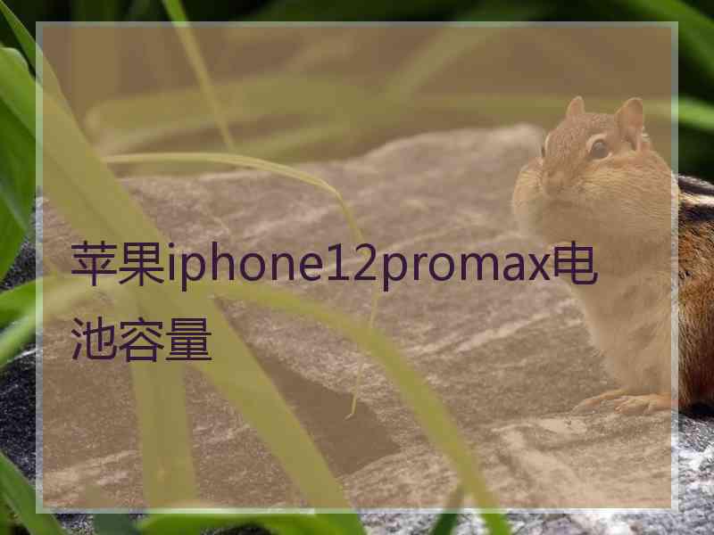 苹果iphone12promax电池容量