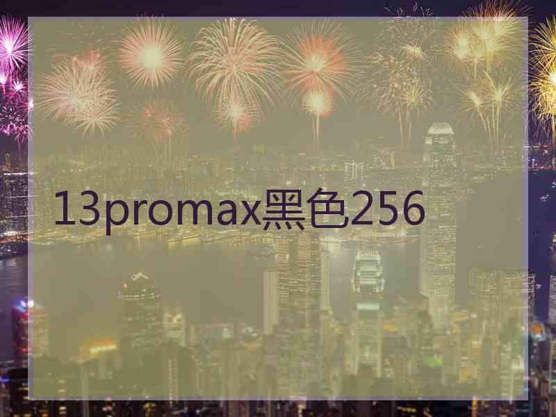 13promax黑色256