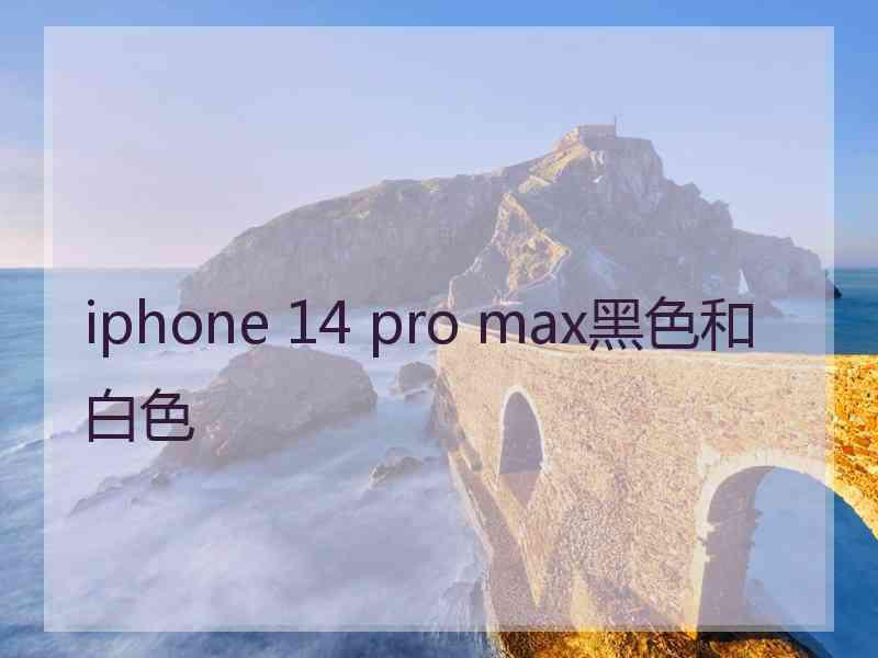 iphone 14 pro max黑色和白色