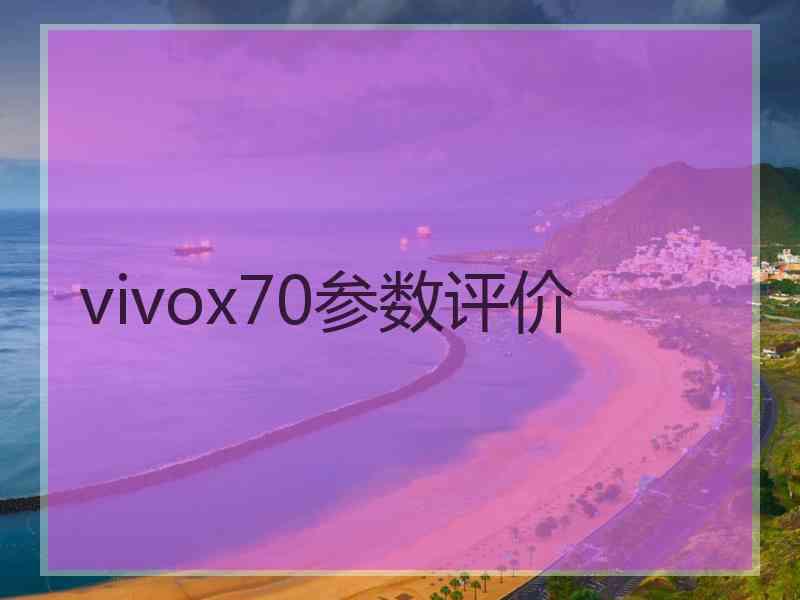 vivox70参数评价