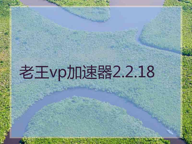 老王vp加速器2.2.18