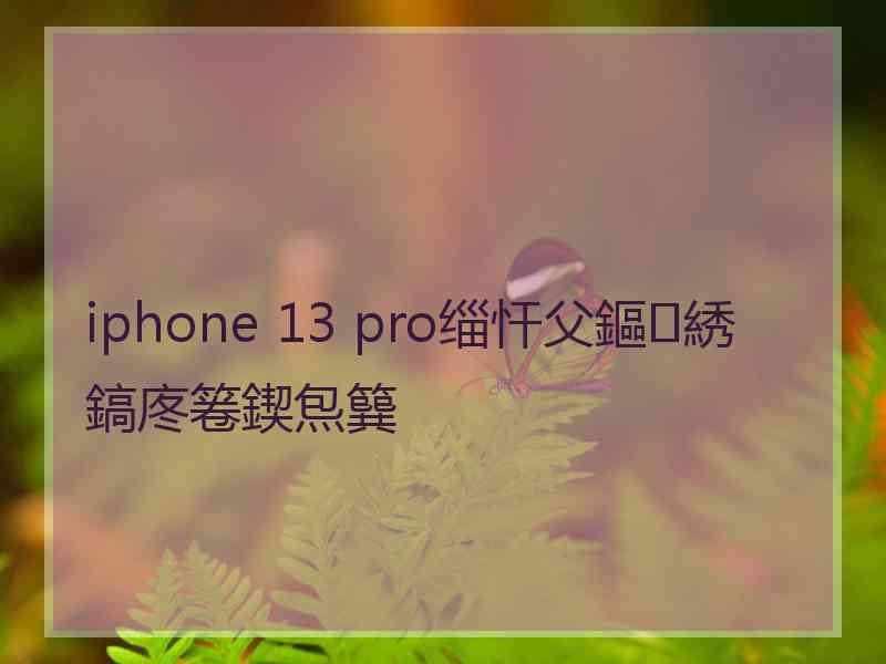 iphone 13 pro缁忓父鏂綉鎬庝箞鍥炰簨