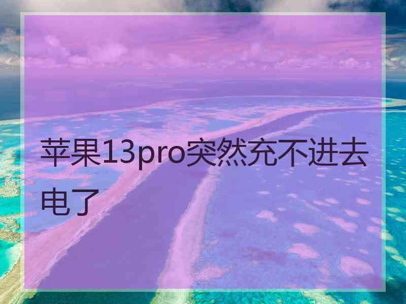 苹果13pro突然充不进去电了