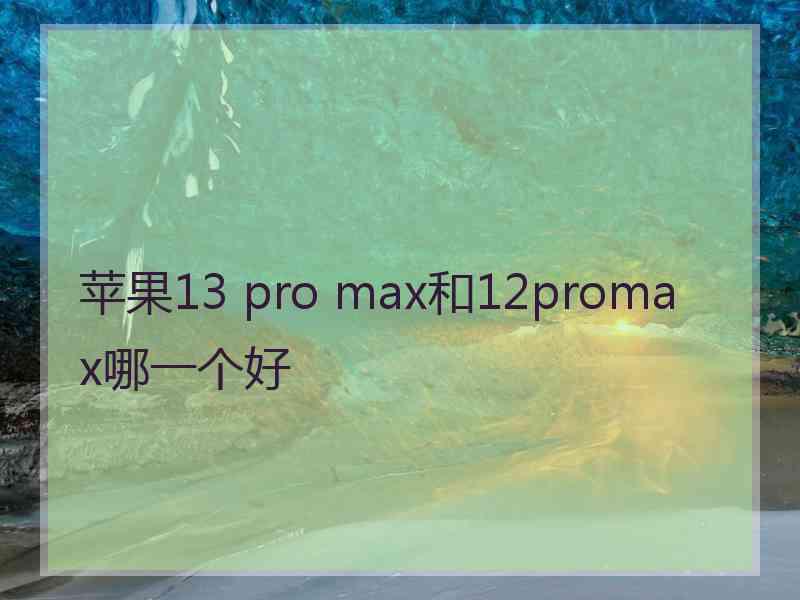 苹果13 pro max和12promax哪一个好