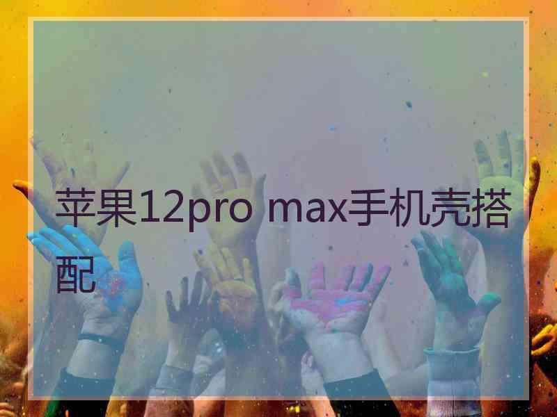 苹果12pro max手机壳搭配