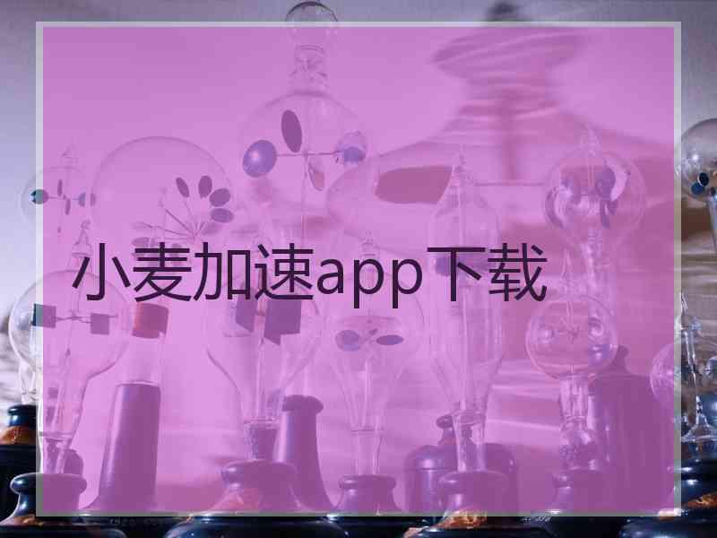 小麦加速app下载