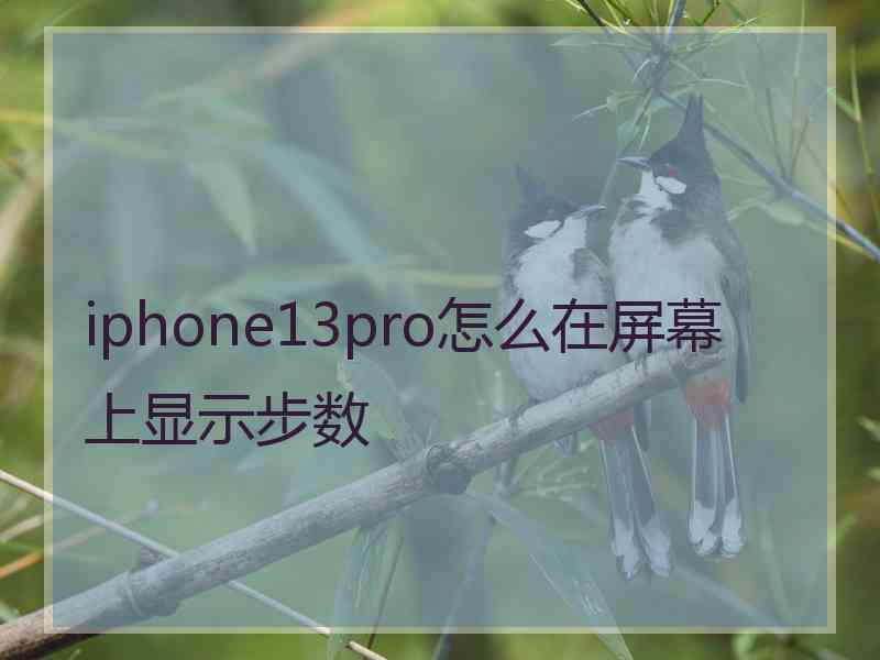 iphone13pro怎么在屏幕上显示步数