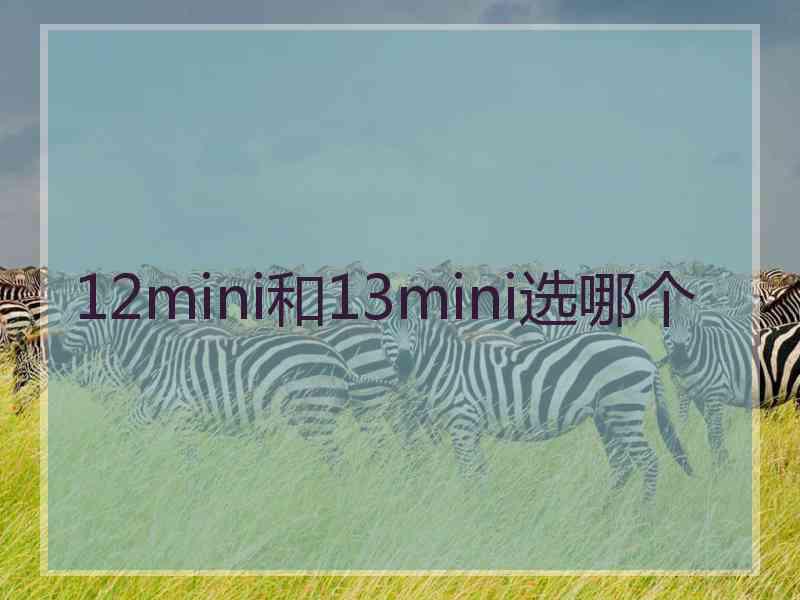 12mini和13mini选哪个