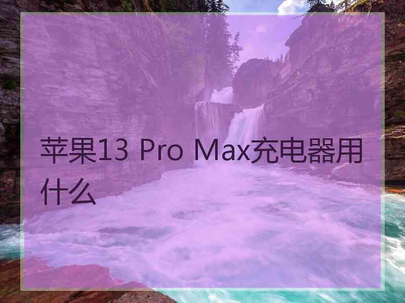 苹果13 Pro Max充电器用什么