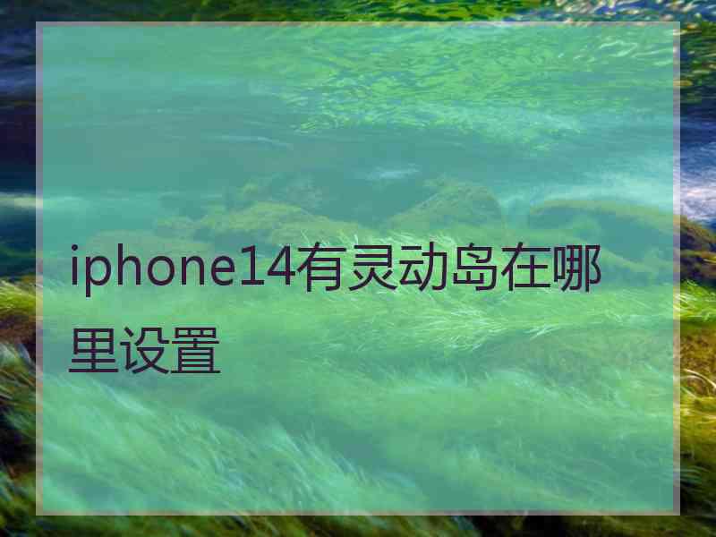 iphone14有灵动岛在哪里设置