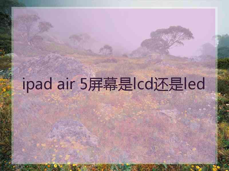 ipad air 5屏幕是lcd还是led