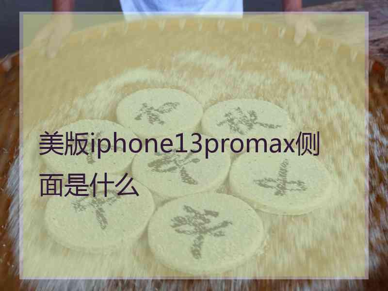 美版iphone13promax侧面是什么