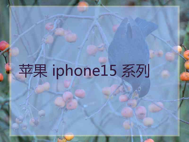 苹果 iphone15 系列