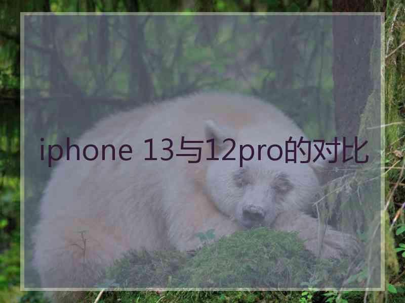 iphone 13与12pro的对比