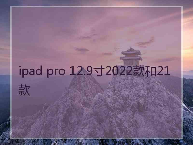 ipad pro 12.9寸2022款和21款