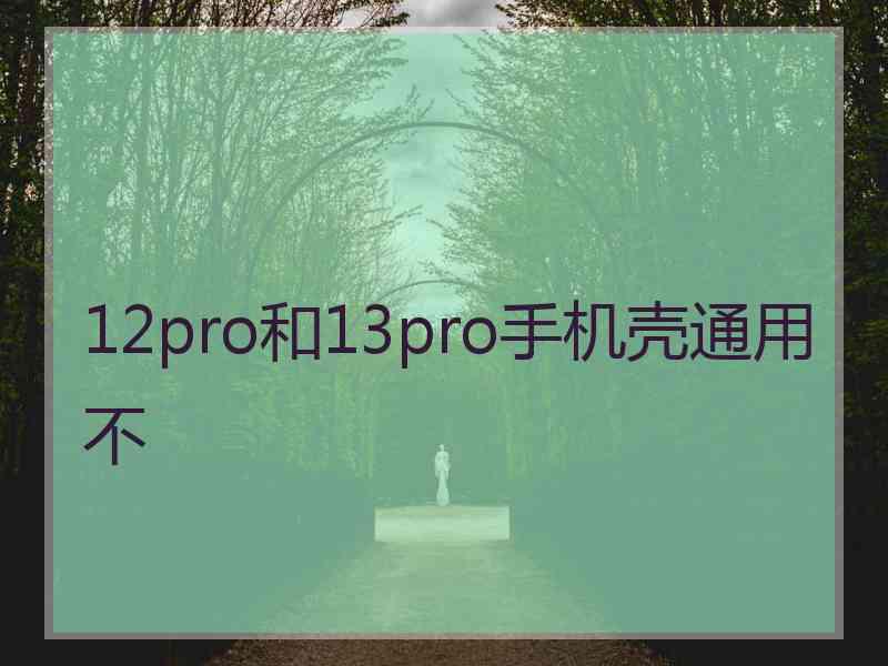 12pro和13pro手机壳通用不