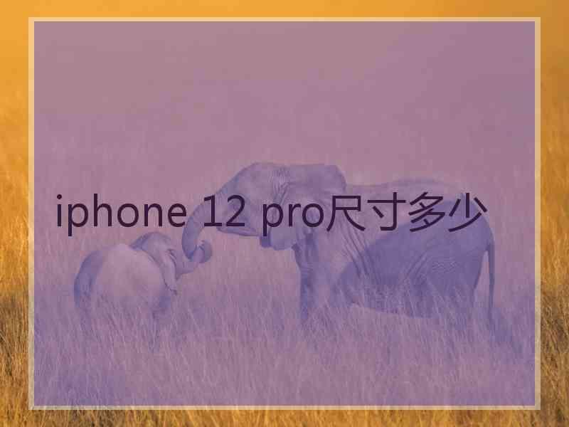 iphone 12 pro尺寸多少