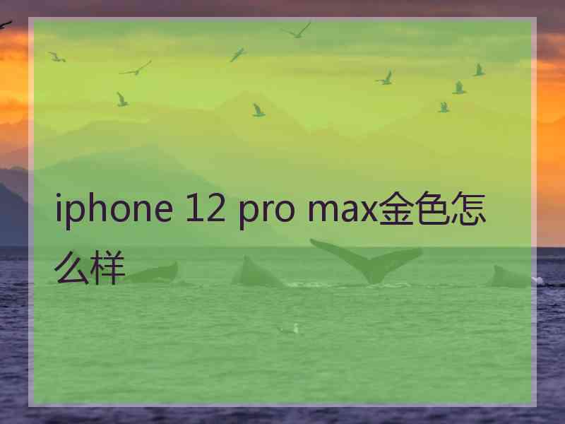 iphone 12 pro max金色怎么样