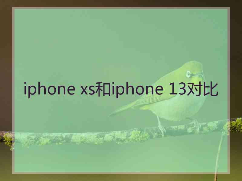 iphone xs和iphone 13对比