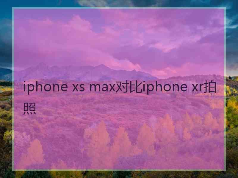 iphone xs max对比iphone xr拍照