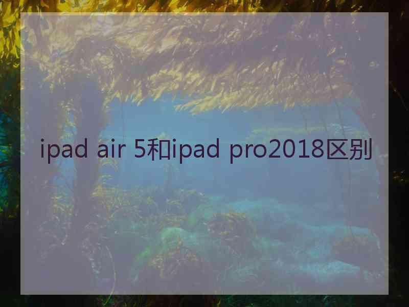 ipad air 5和ipad pro2018区别