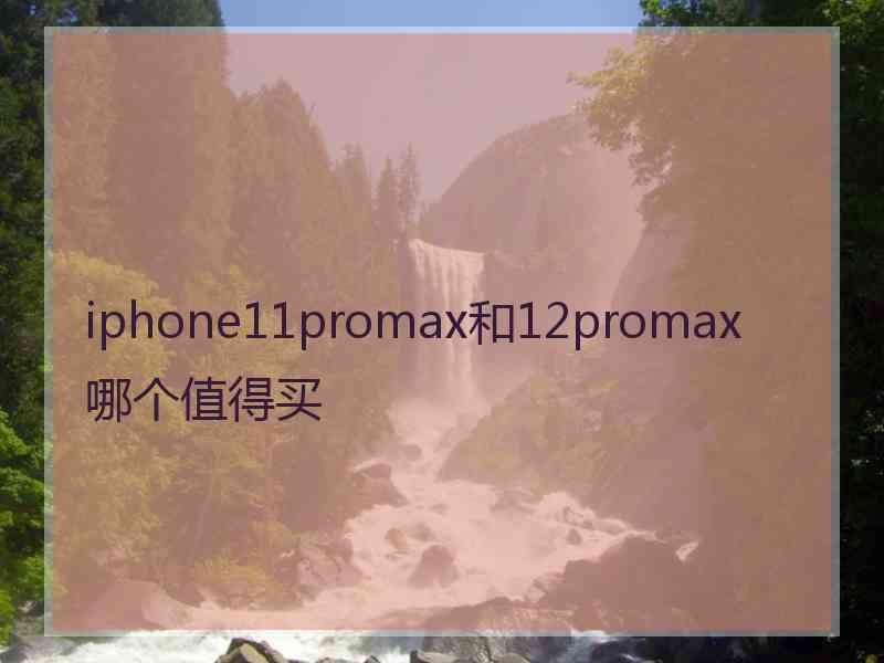 iphone11promax和12promax哪个值得买