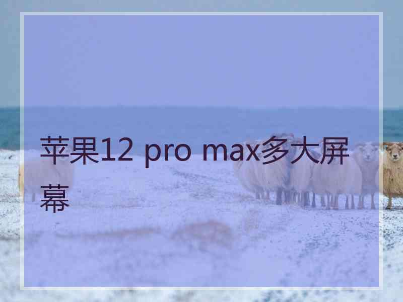 苹果12 pro max多大屏幕