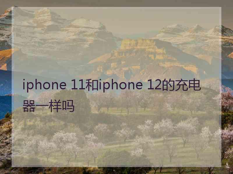 iphone 11和iphone 12的充电器一样吗