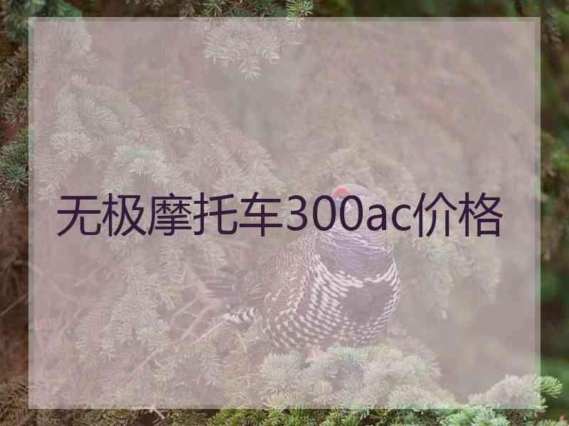 无极摩托车300ac价格