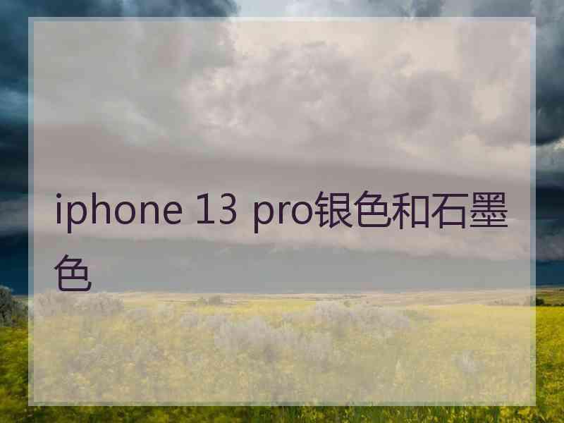 iphone 13 pro银色和石墨色