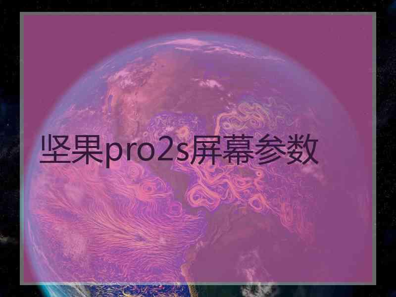 坚果pro2s屏幕参数