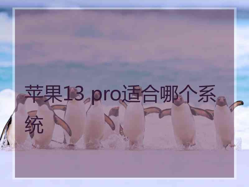 苹果13 pro适合哪个系统