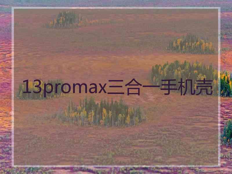 13promax三合一手机壳