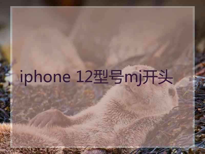 iphone 12型号mj开头