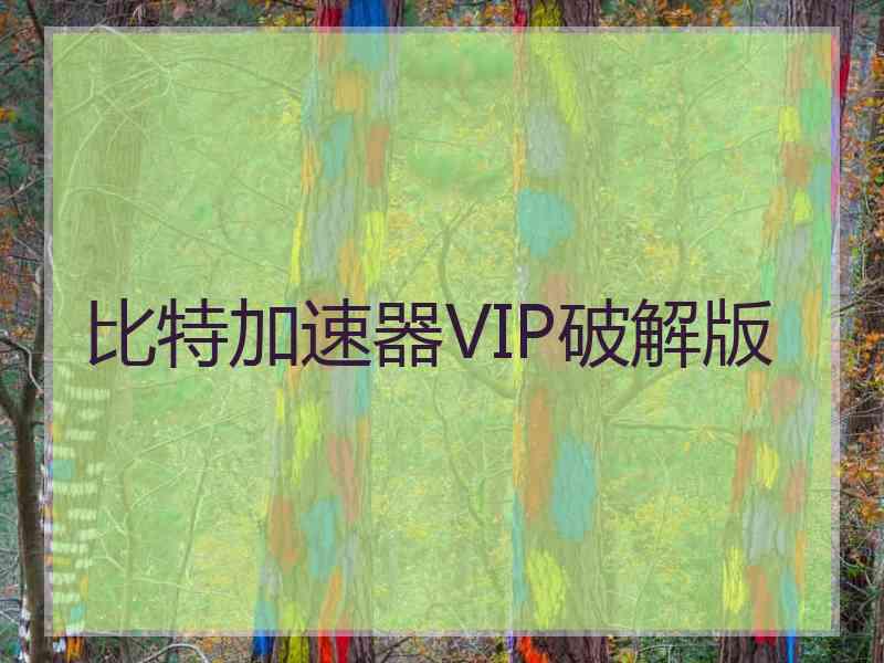 比特加速器VIP破解版